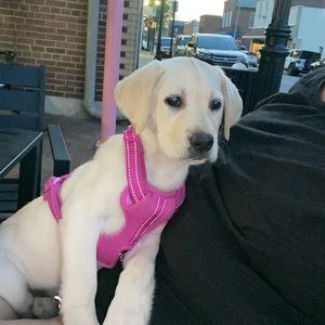 Meet your Posher, Jeanna